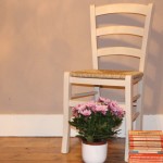 Dining chair, plant and books