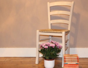 Dining chair, plant and books