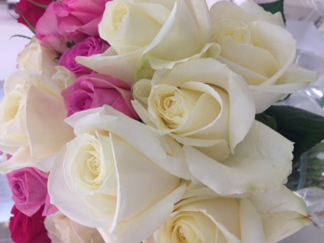 White and pink roses