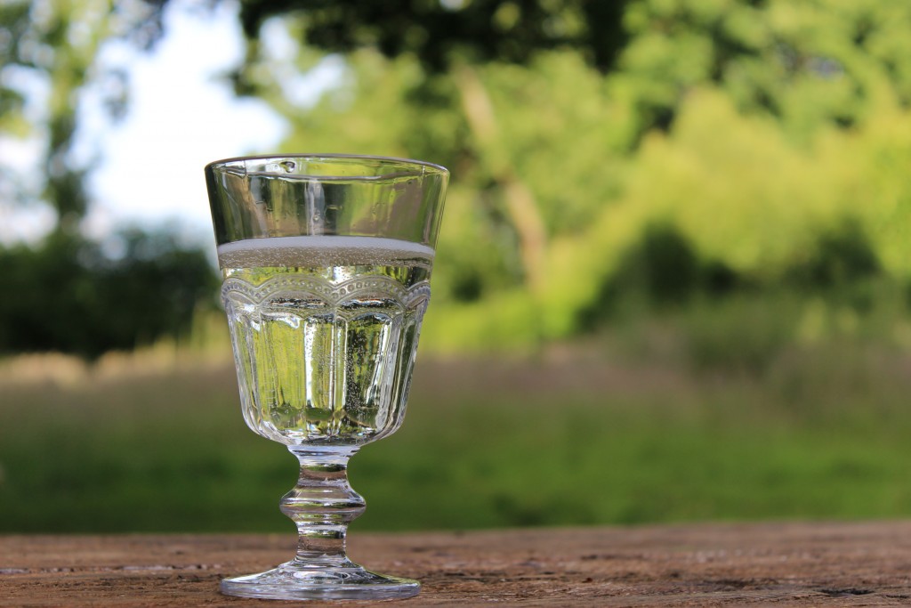 Glass of fizz in the field