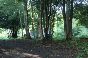 Shepherd hut in the woods