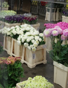 Flowers at the flower market